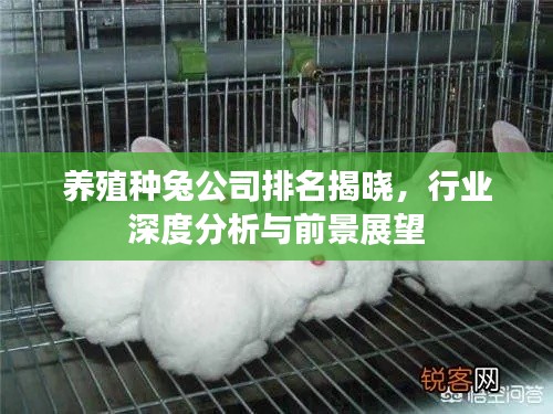 养殖种兔公司排名揭晓,行业深度分析与前景展望