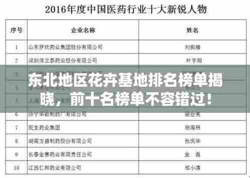 东北地区花卉基地排名榜单揭晓,前十名榜单不容错过!