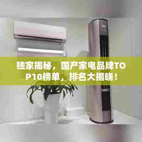 独家揭秘，国产家电品牌TOP10榜单，排名大揭晓！
