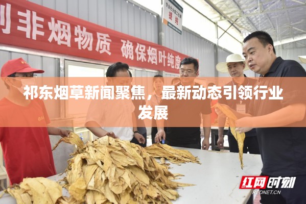 祁东烟草新闻聚焦，最新动态引领行业发展