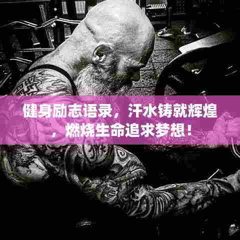 健身励志语录，汗水铸就辉煌，燃烧生命追求梦想！