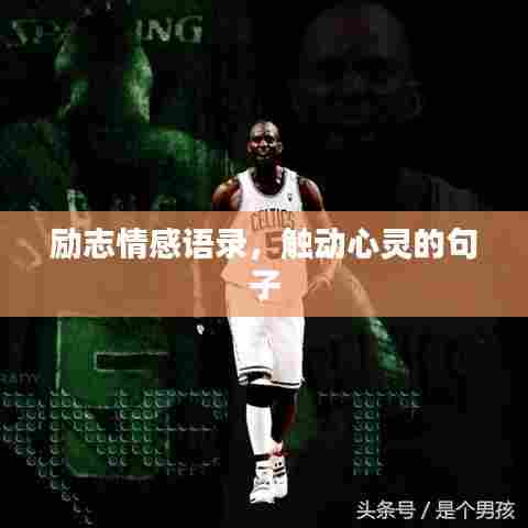 励志情感语录,触动心灵的句子