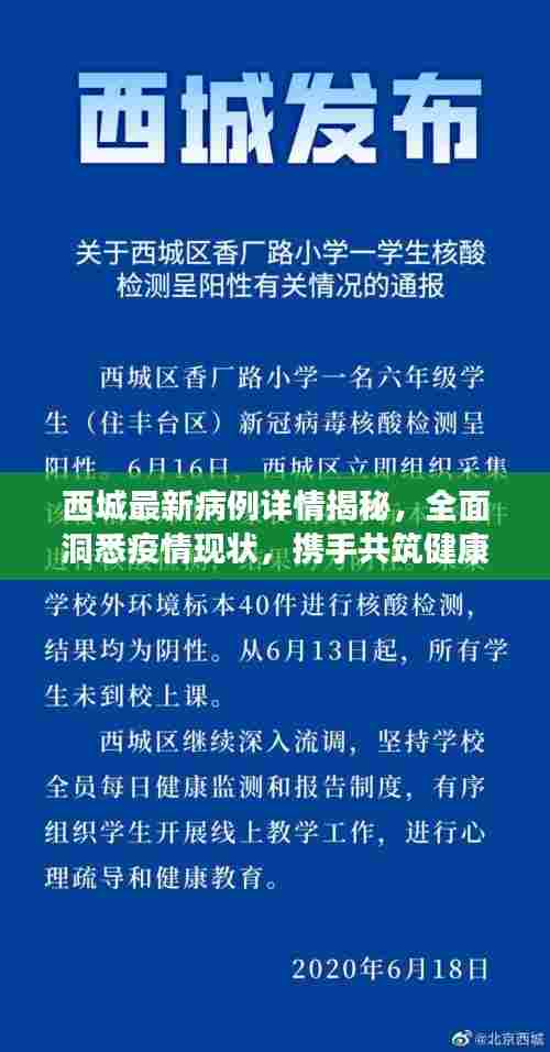 西城最新病例详情揭秘,全面洞悉疫情现状,携手共筑健康防线