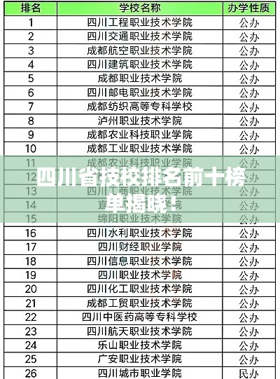 四川省技校排名前十榜单揭晓！