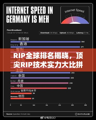 RIP全球排名揭晓,顶尖RIP技术实力大比拼!