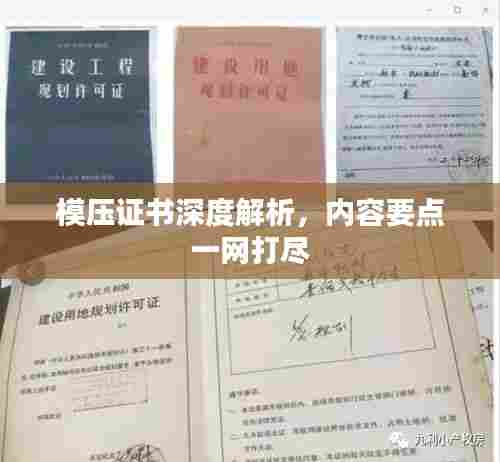 模压证书深度解析,内容要点一网打尽