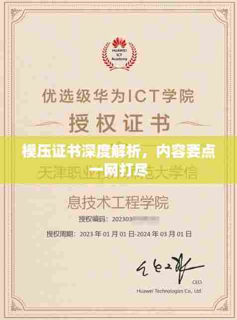 模压证书深度解析,内容要点一网打尽
