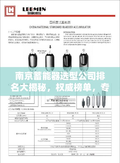 南京蓄能器选型公司排名大揭秘，权威榜单，专业推荐！