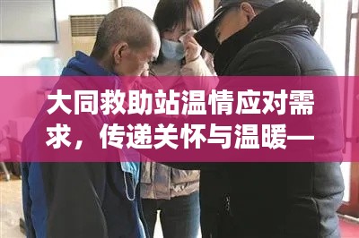 大同救助站温情应对需求,传递关怀与温暖——新闻报道头条
