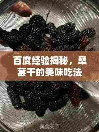 百度经验揭秘，桑葚干的美味吃法大全