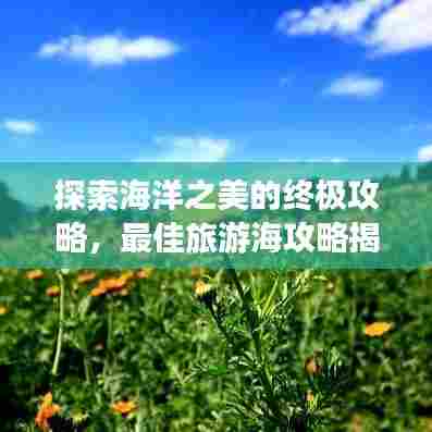 探索海洋之美的终极攻略，最佳旅游海攻略揭秘！