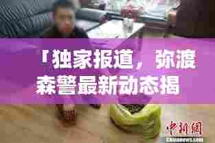 「独家报道，弥渡森警最新动态揭秘！」