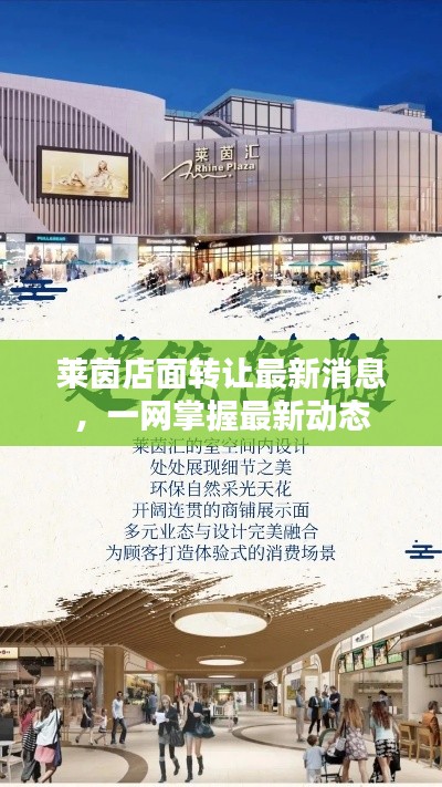 莱茵店面转让最新消息，一网掌握最新动态