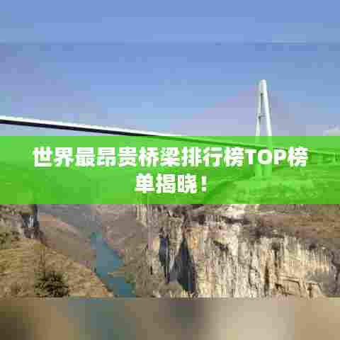 世界最昂贵桥梁排行榜TOP榜单揭晓!