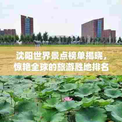 美轮美奂 第2页