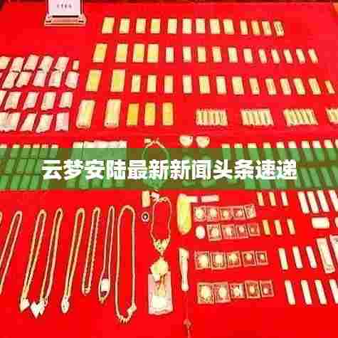 云梦安陆最新新闻头条速递