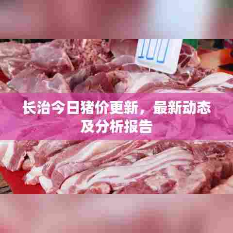长治今日猪价更新,最新动态及分析报告