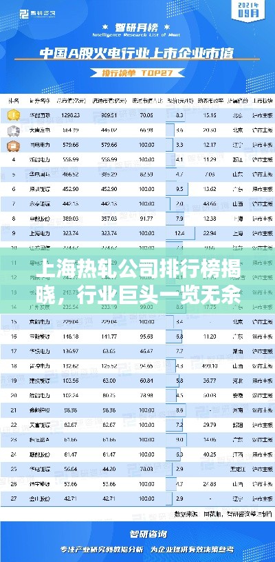 上海热轧公司排行榜揭晓,行业巨头一览无余