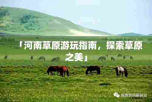 「河南草原游玩指南,探索草原之美」
