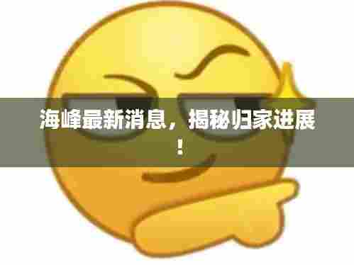 海峰最新消息,揭秘归家进展!