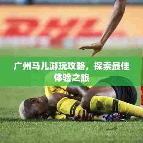 广州马儿游玩攻略，探索最佳体验之旅