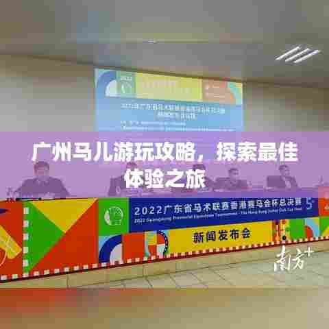 广州马儿游玩攻略,探索最佳体验之旅