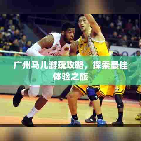 广州马儿游玩攻略,探索最佳体验之旅