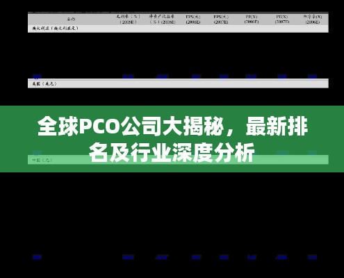 全球PCO公司大揭秘,最新排名及行业深度分析