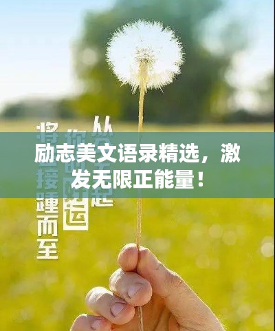 励志美文语录精选,激发无限正能量!