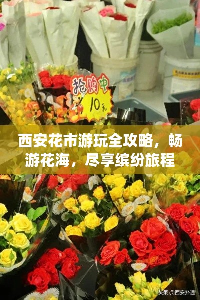 西安花市游玩全攻略,畅游花海,尽享缤纷旅程!