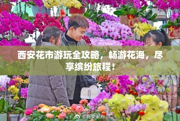 西安花市游玩全攻略,畅游花海,尽享缤纷旅程!