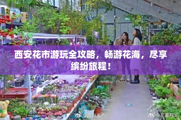 西安花市游玩全攻略,畅游花海,尽享缤纷旅程!