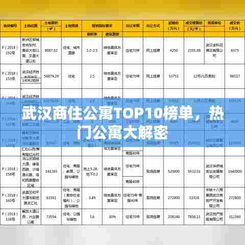 武汉商住公寓TOP10榜单，热门公寓大解密