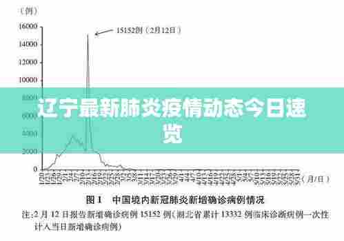 辽宁最新肺炎疫情动态今日速览