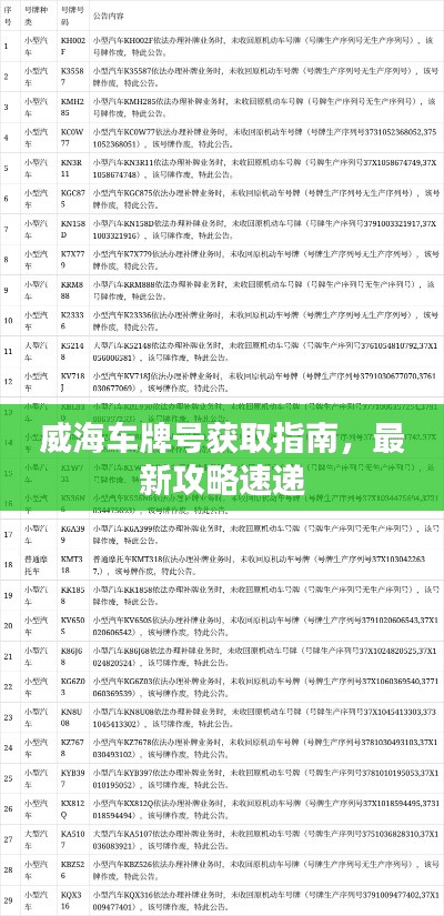 威海车牌号获取指南，最新攻略速递