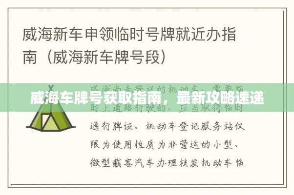 威海车牌号获取指南,最新攻略速递
