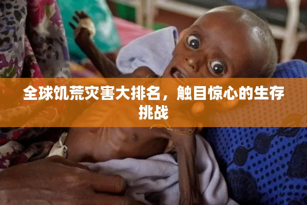 全球饥荒灾害大排名,触目惊心的生存挑战