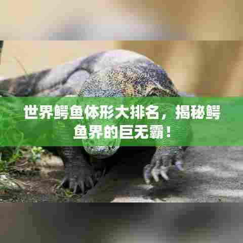 世界鳄鱼体形大排名,揭秘鳄鱼界的巨无霸!