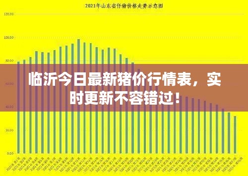临沂今日最新猪价行情表，实时更新不容错过！