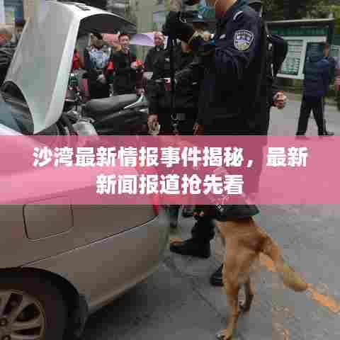 贵不召骄 第3页