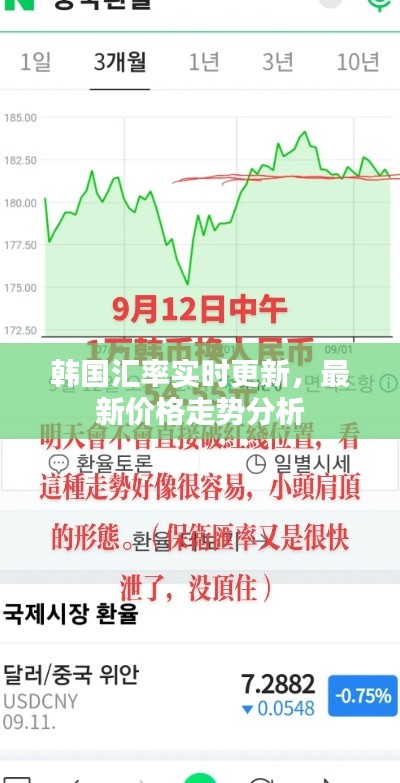 韩国汇率实时更新，最新价格走势分析