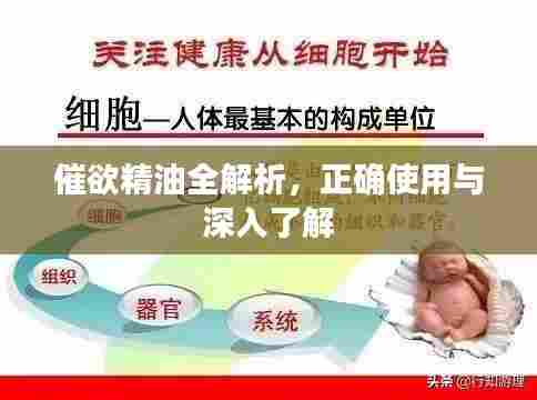 催欲精油全解析，正确使用与深入了解
