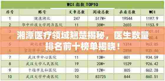 湘潭医疗领域翘楚揭秘,医生数量排名前十榜单揭晓!