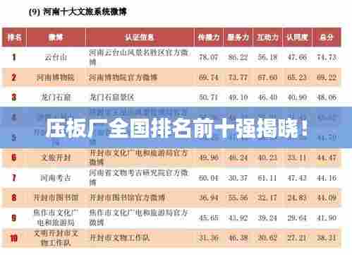 压板厂全国排名前十强揭晓!