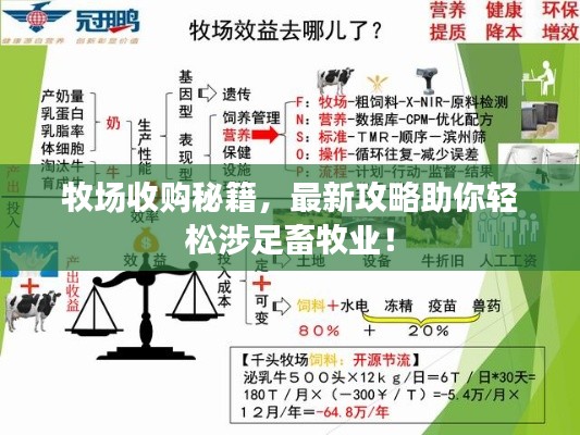 牧场收购秘籍,最新攻略助你轻松涉足畜牧业!