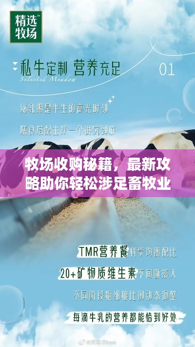 牧场收购秘籍,最新攻略助你轻松涉足畜牧业!