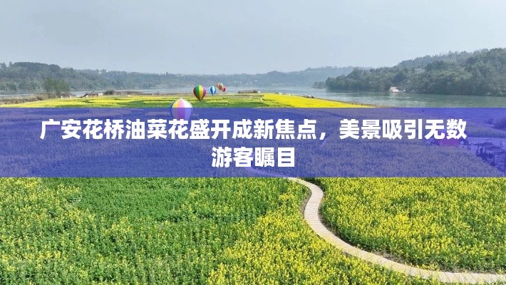 广安花桥油菜花盛开成新焦点，美景吸引无数游客瞩目