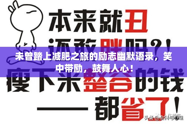 未曾踏上减肥之旅的励志幽默语录,笑中带励,鼓舞人心!