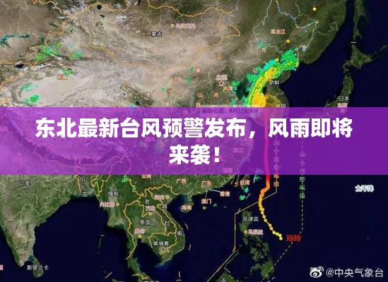 东北最新台风预警发布，风雨即将来袭！