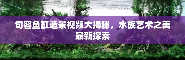 句容鱼缸造景视频大揭秘，水族艺术之美最新探索